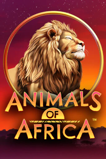 Демо игра Animals of Africa ™ играть онлайн | Casino X Online бесплатно