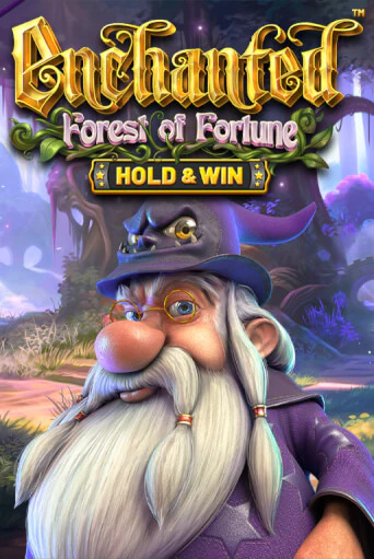 Демо игра Enchanted: Forest Of Fortune играть онлайн | Casino X Online бесплатно