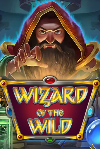 Демо игра Wizard of the Wild играть онлайн | Casino X Online бесплатно