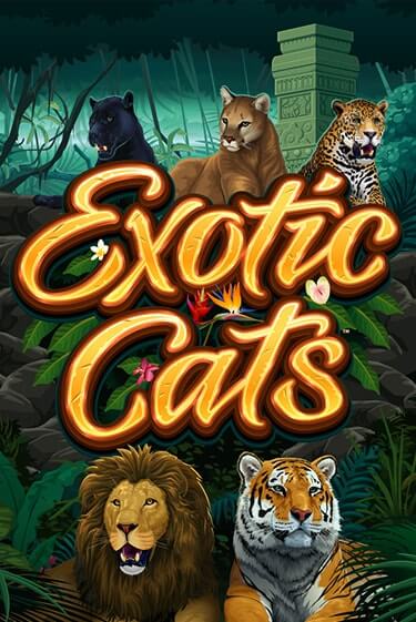 Демо игра Exotic Cats играть онлайн | Casino X Online бесплатно